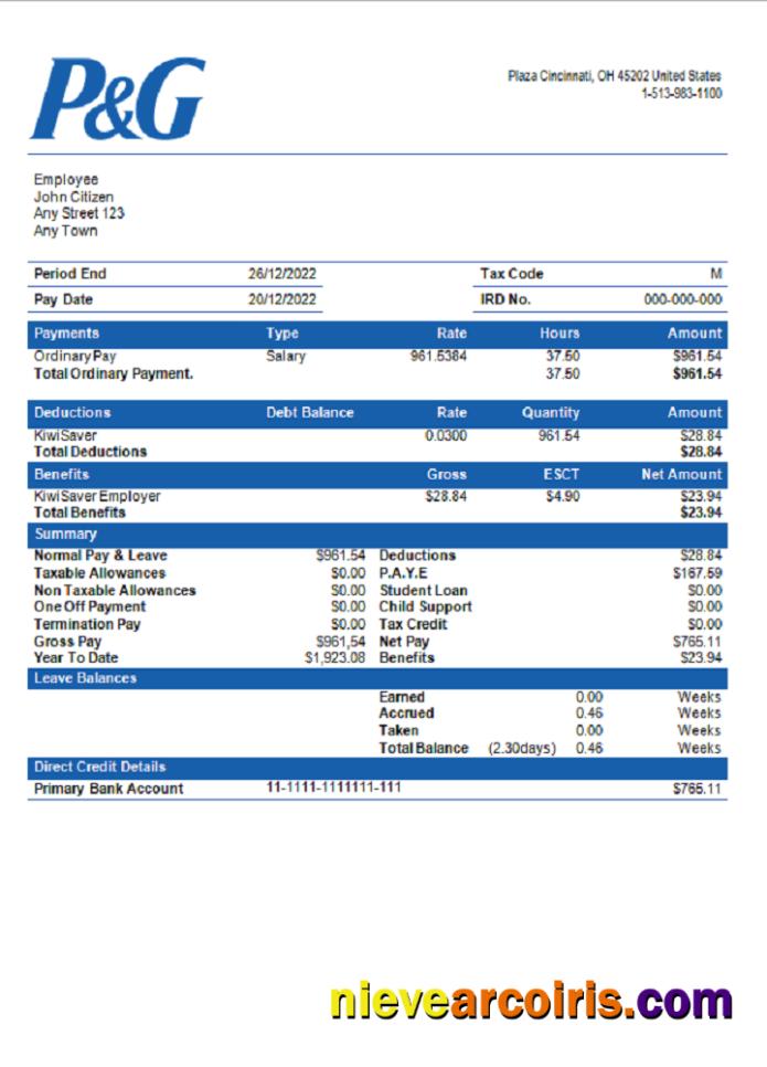 USA Procter & Gamble consumer products company pay stub